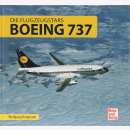 Borgmann Boeing 737 Die Flugzeugstars